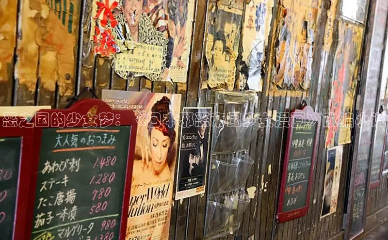 恶之国的少女梦：《日本邪恶帝国少女漫画》改编小说